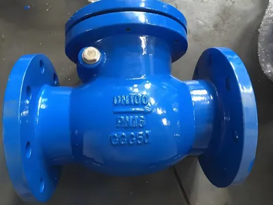 Válvula de retenção oscilante de ferro dúctil PN10