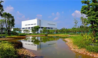 Guiados pela estratégia do 